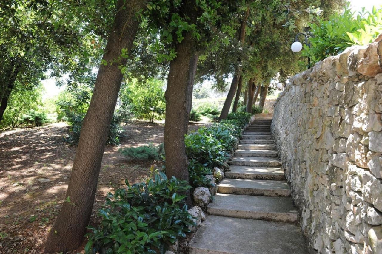 Rosa 4* Martina Franca